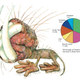 Illustration for article titled 10 Reasons Naked Mole Rats Will Inherit the Earth